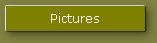 Pictures